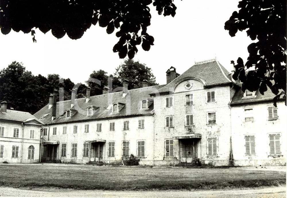 Fotografia d epoca originale 1985 ca HUSSERENWESSERLING F Scorcio castello del celebre parco Fotografia 1