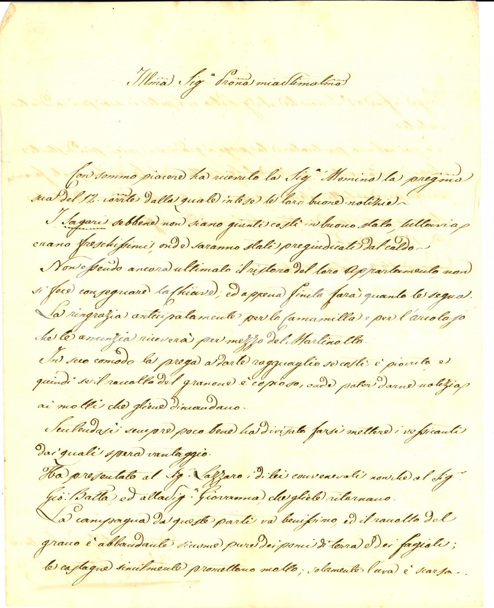Documento originale, autentico 1844 GENOVA Vittorio BISAGNO sul buon raccolto delle terre NEGROTTO CAMBIASO 1