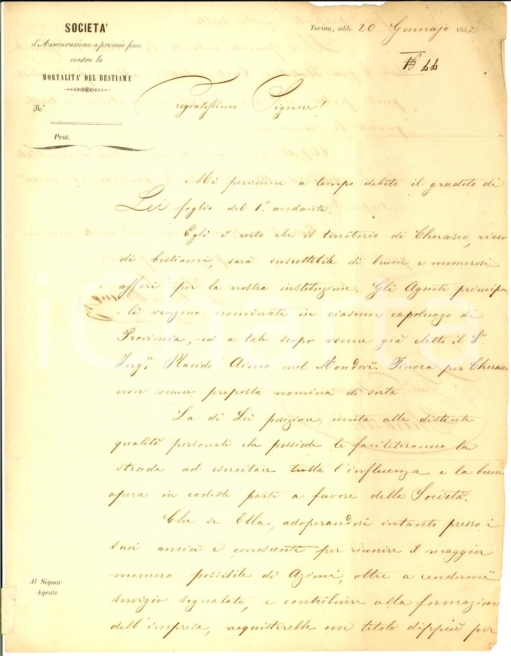 Documento originale, autentico 1832 CHERASCO CN Giuseppe ROASIO agente Assicurazione contro mortalitÃ  bestiame 1