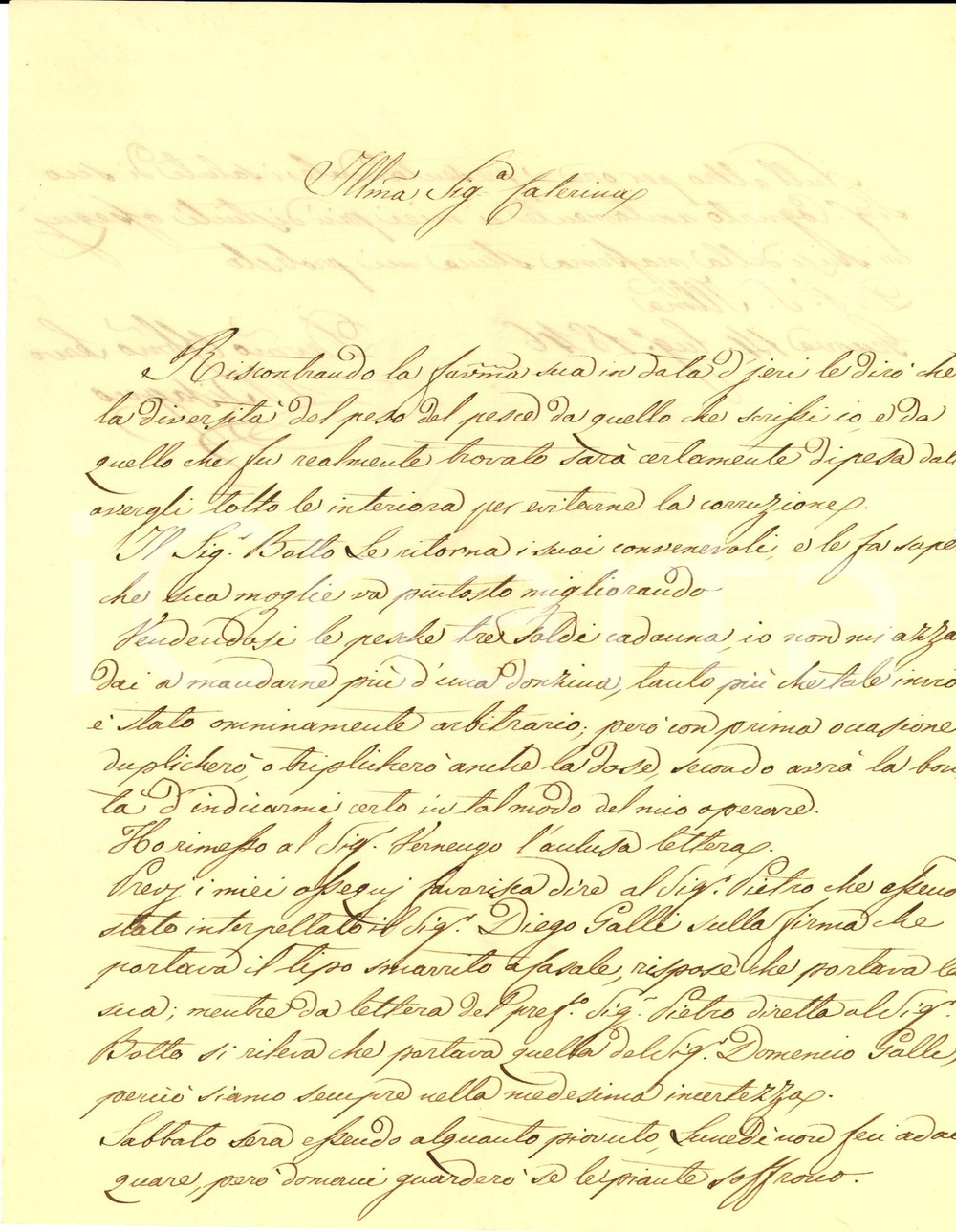 Documento originale, autentico 1846 GENOVA Vittorio BISAGNO su peso del pesce a Caterina NEGROTTO CAMBIASO 1
