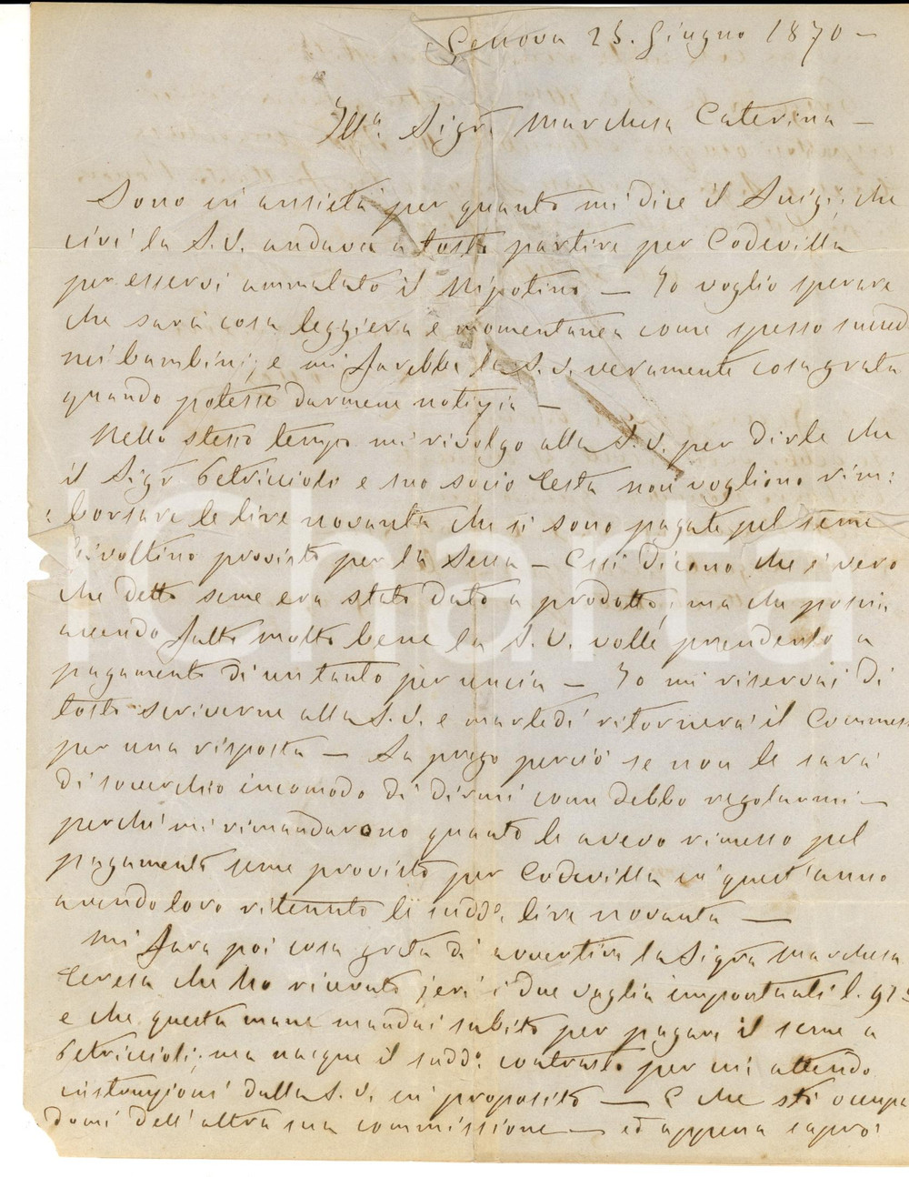 Documento originale, autentico 1870 GENOVA Caterina NEGROTTO CAMBIASO non viene pagata per seme da frutto 1