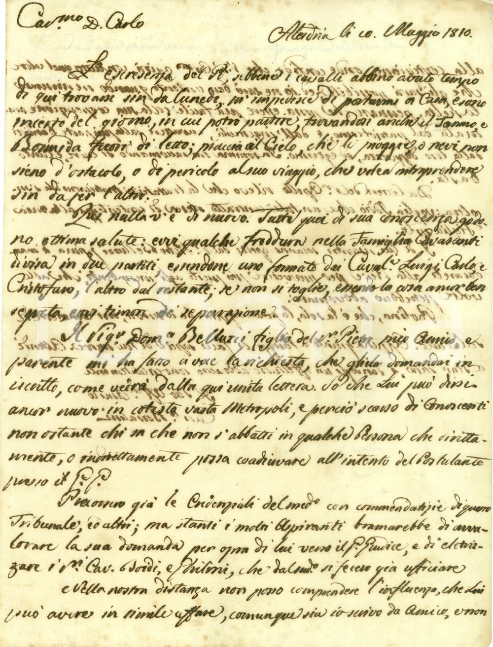 Documento originale, autentico 1810 ALESSANDRIA Canonico Giuseppe BORSALINO raccomanda Domenico BELLUZZI 1
