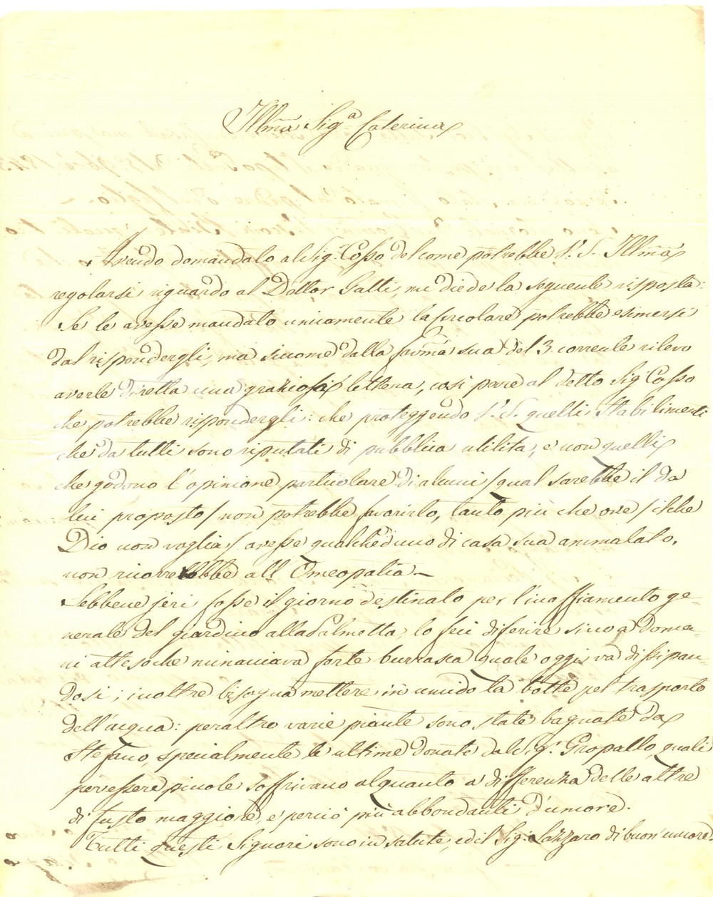 Documento originale, autentico 1846 GENOVA Vittorio BISAGNO cura giardino della PALMETTA dei marchesi NEGROTTO 1