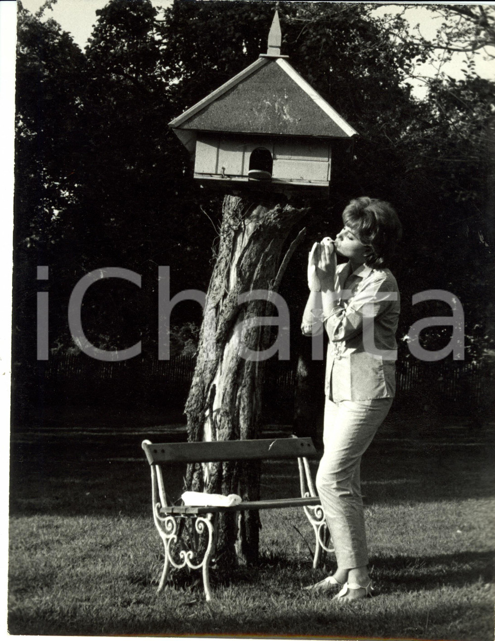 Fotografia d epoca originale 1960 ca PARIS Sylva KOSCINA gioca con un colombo Fotografia 1