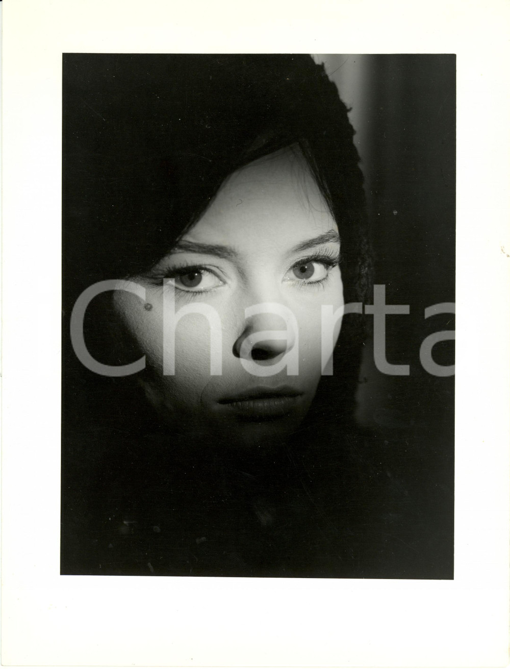 Fotografia d epoca originale 1960 ca FRANCIA Pascale PETIT Attrice  Ritratto Fotografia 18 x 24 cm 1