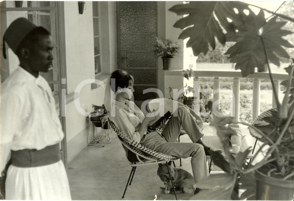 Fotografia d epoca originale 1960 ca Elsa MARTINELLI Attrice legge un libro sul terrazzo Fotografia 1