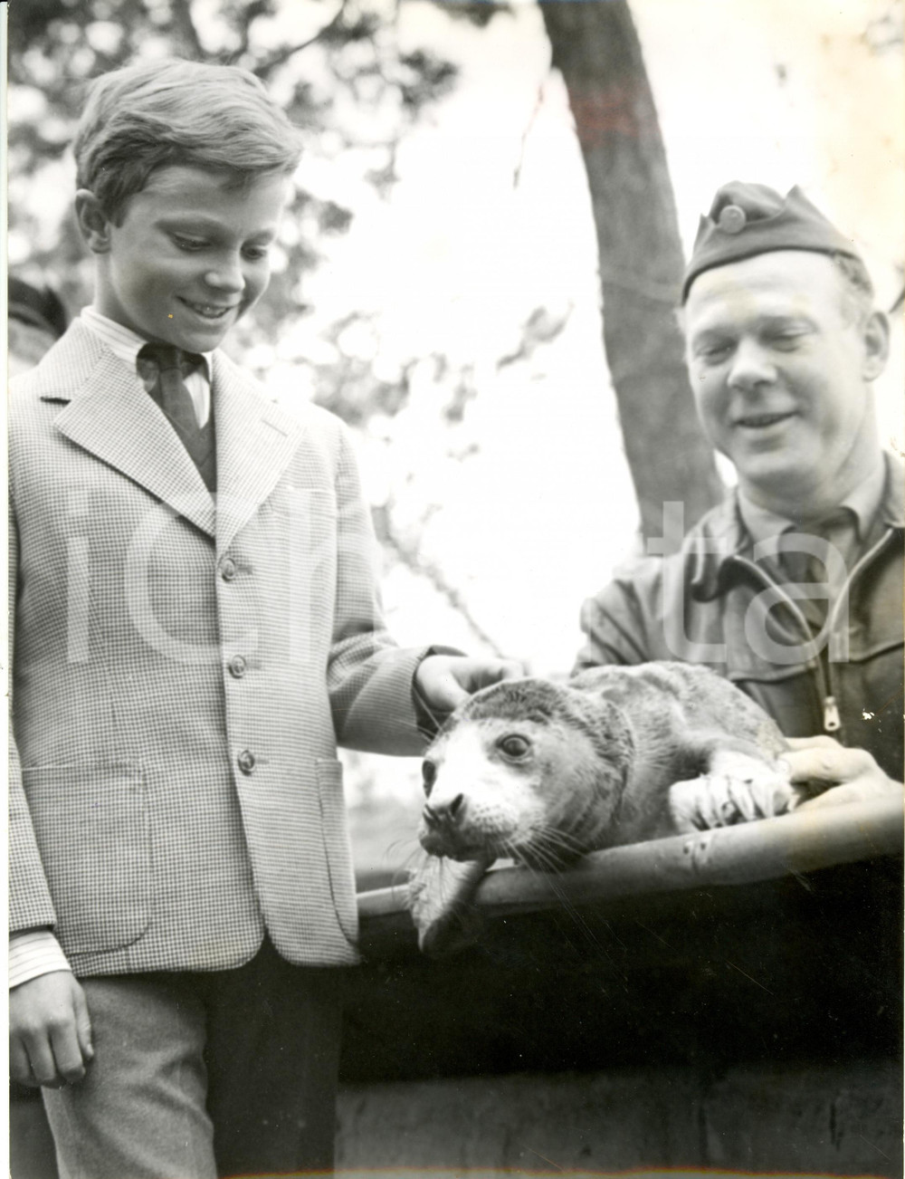 Fotografia d epoca originale 1958 STOCCOLMA Carlo Gustavo SVEZIA accarezza una foca allo zoo SKANSEN Foto 1