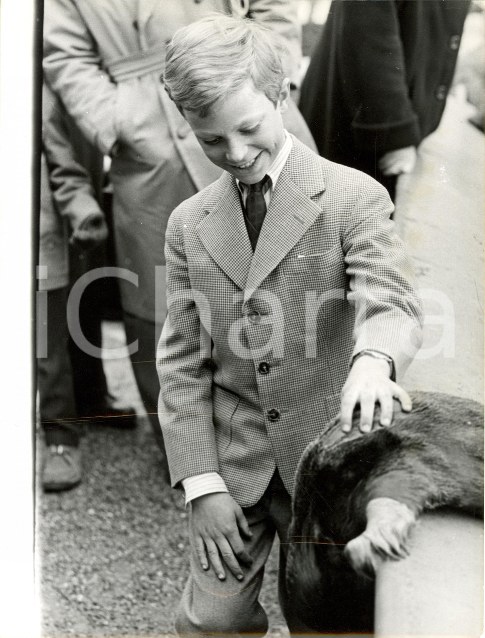 Fotografia d epoca originale 1958 STOCCOLMA Carlo Gustavo SVEZIA accarezza animale zoo di SKANSEN Fotografia 1
