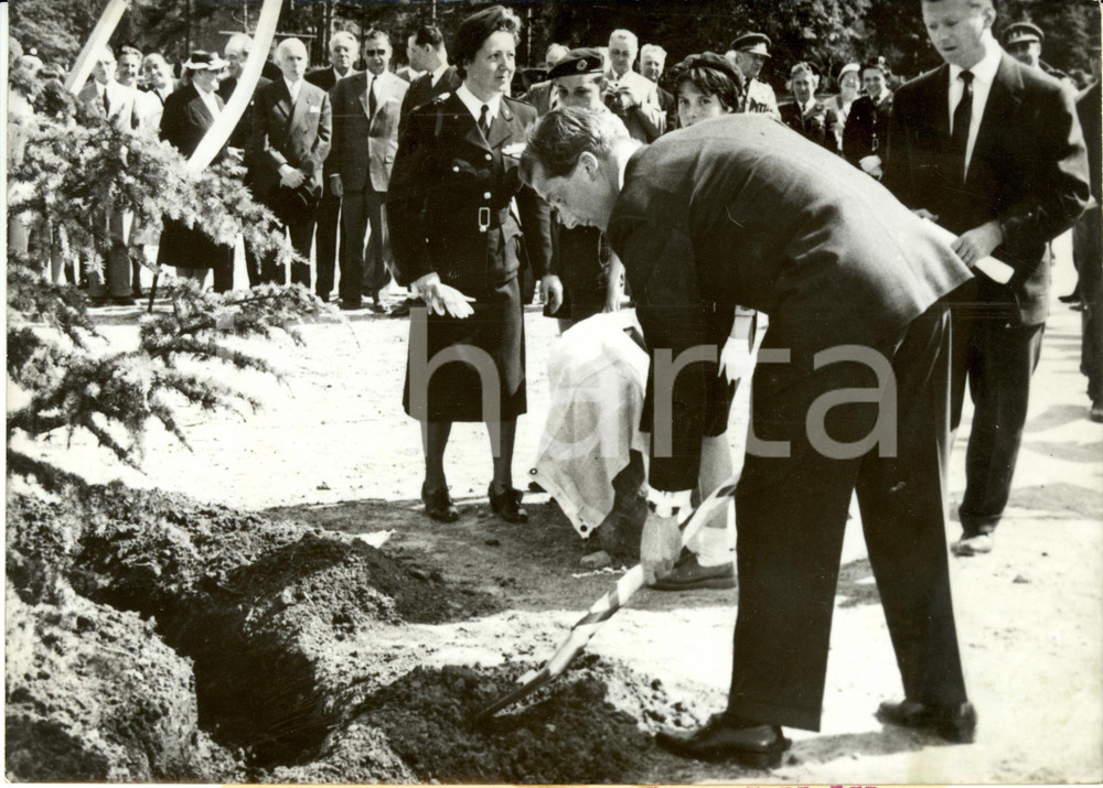 Fotografia d epoca originale 1959 BRUXELLES Principe Alberto pianta albero Centenario CROCE ROSSA Foto 2 1