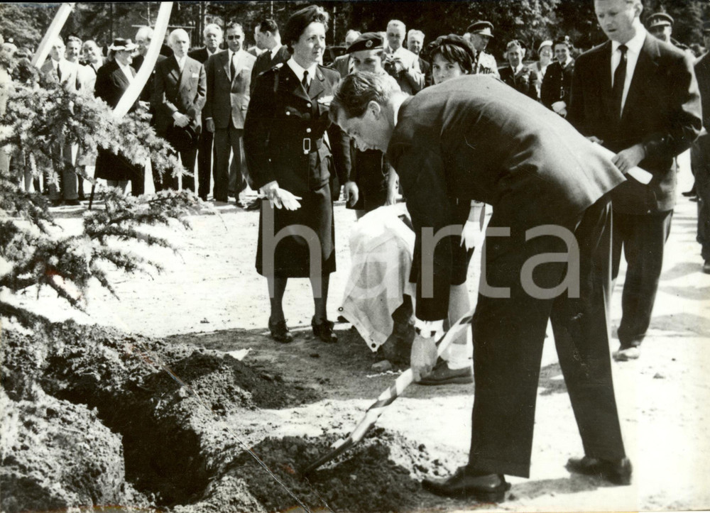 Fotografia d epoca originale 1959 BRUXELLES Prince Albert terrassier pour CROIXROUGE ENDOMMAGE Photo 1 1