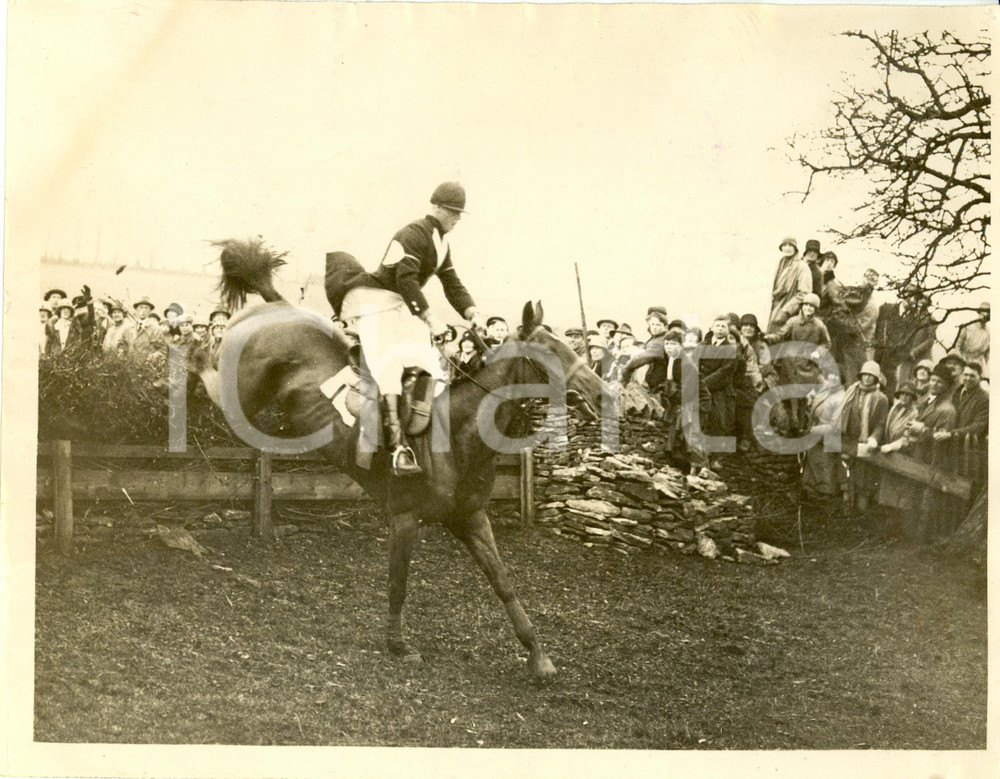 Fotografia d epoca originale 1930 ca HAZELTON UK Prince of WALES on Degomme wins Welsh Guards Race Photo 1