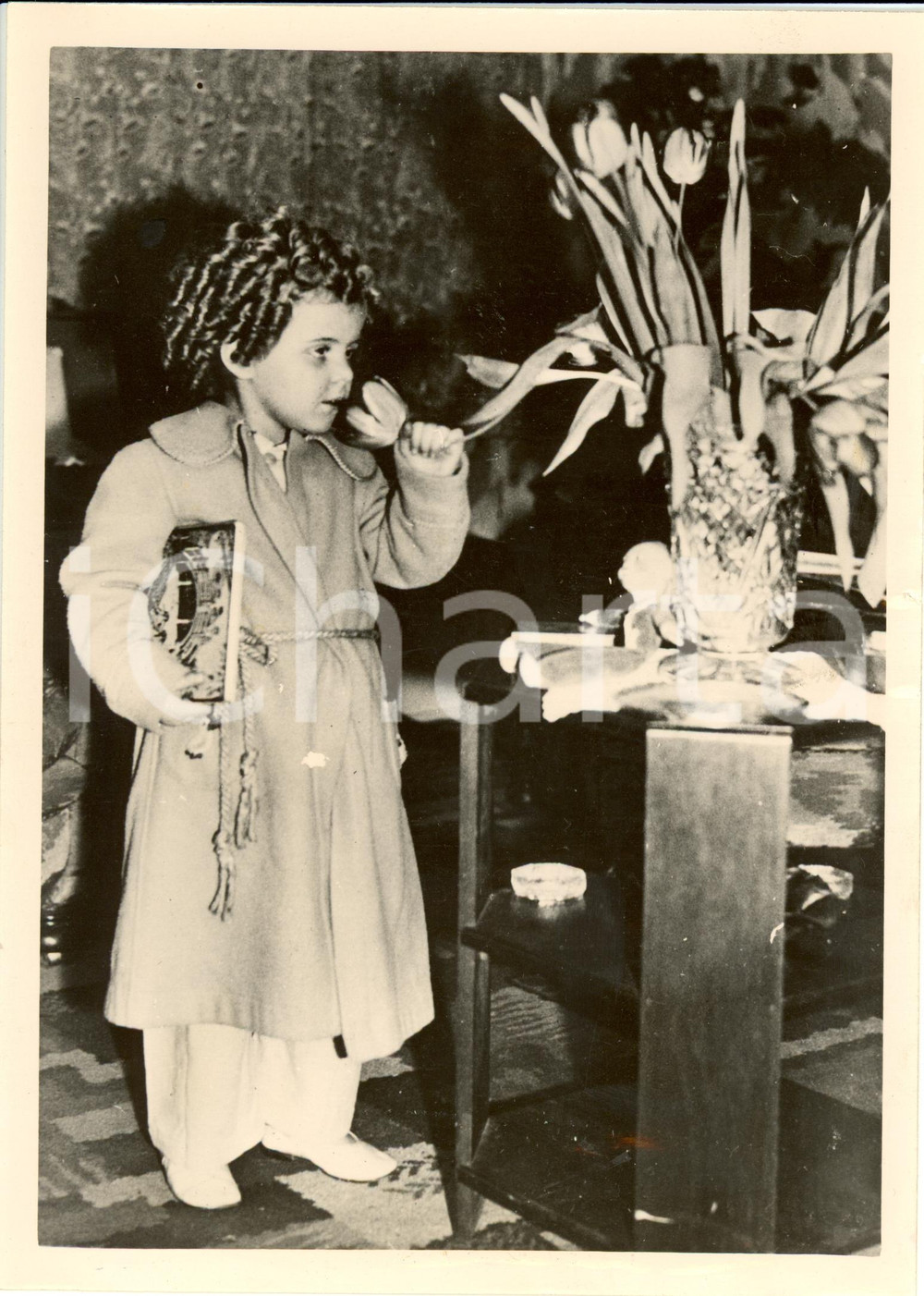 Fotografia d epoca originale 1937 UK Binkie STUART attrice a tre anni promessa del cinema Fotografia 1