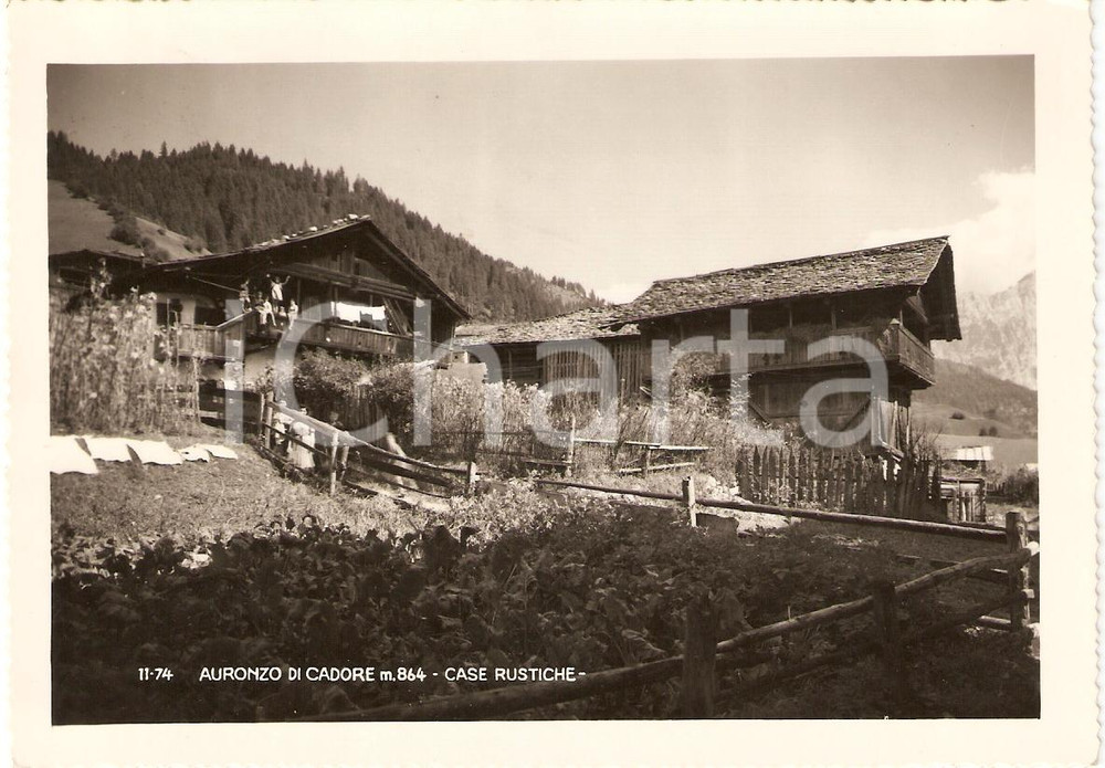 Cartolina originale da collezione 1950 AURONZO DI CADORE BL Case rustiche ANIMATA Panorama Cartolina FG VG 1