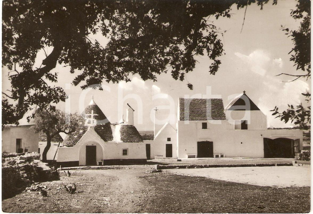 Cartolina originale da collezione 1955 ca MARTINA FRANCA TA Masseria PIZZO RUSSO Panorama Cartolina FG NV 1