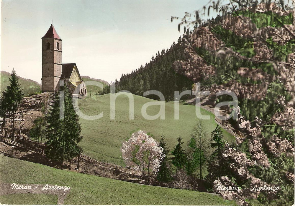 Cartolina originale da collezione 1955 AVELENGO BZ Chiesa di SANTA CATERINA Panorama Cartolina FG VG 1