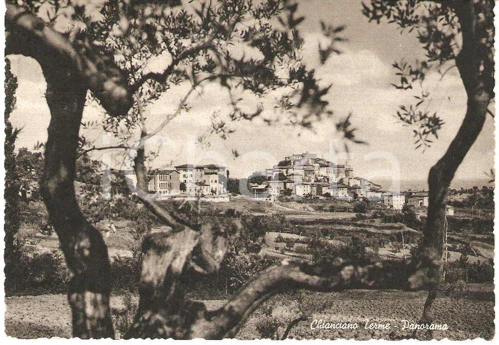 Cartolina originale da collezione 1955 CHIANCIANO TERME SI Veduta panoramica del paese Cartolina FG VG 1