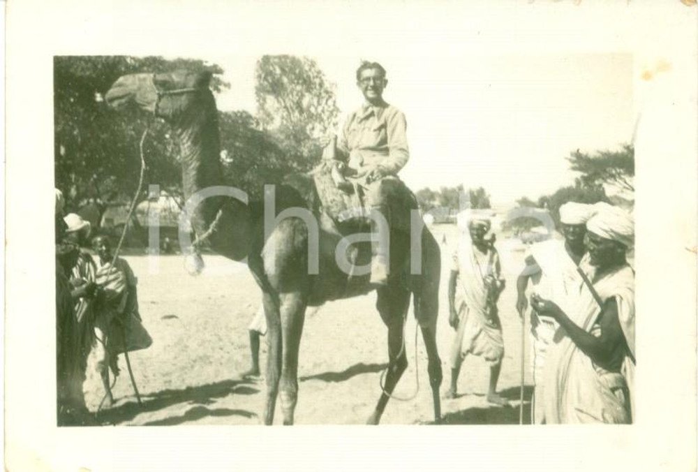 Fotografia d epoca originale 1936 CHEREN ERITREA AOI Colono a dorso di cammello con indigeni Foto cm 10 x 7 1