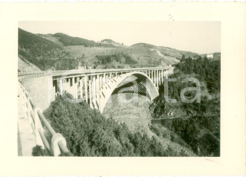Fotografia d epoca originale 1959 ALASSIO Viadotto dell autostrada GENOVA  SAVONA Fotografia cm 12 x 9 1