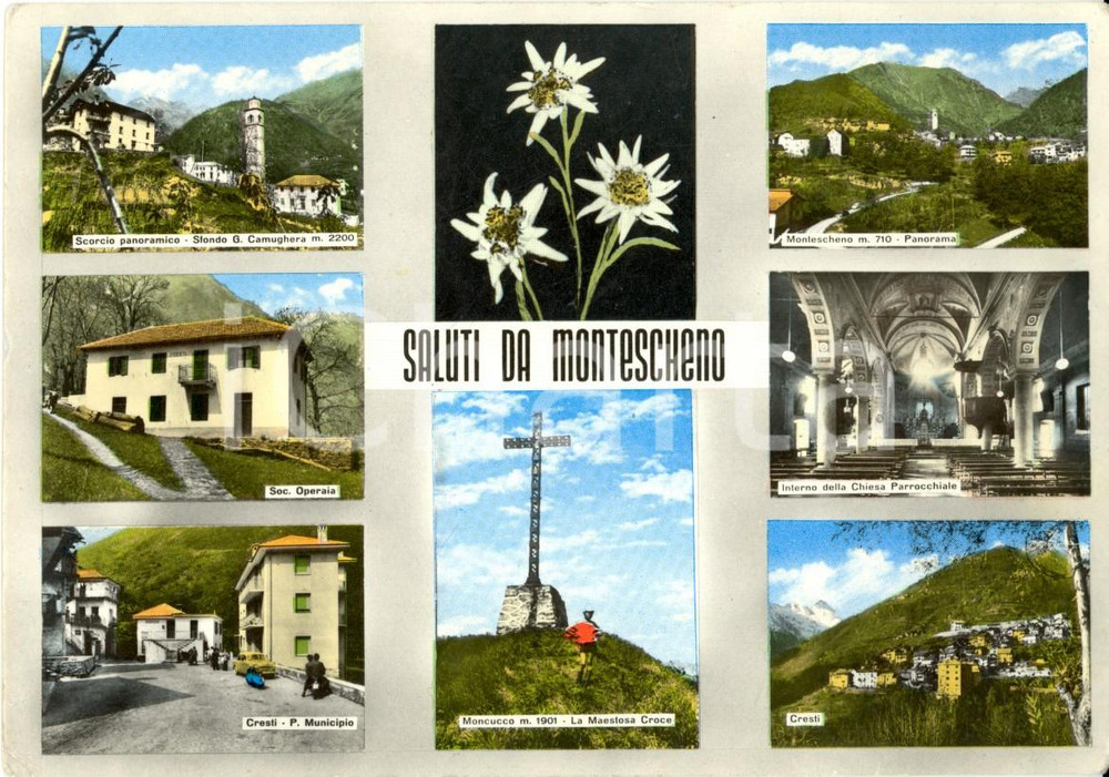 Cartolina originale da collezione 1962 MONTESCHENO VB Vedutine del paese e delle Cime CAMUGHERA e MONCUCCO FG VG 1
