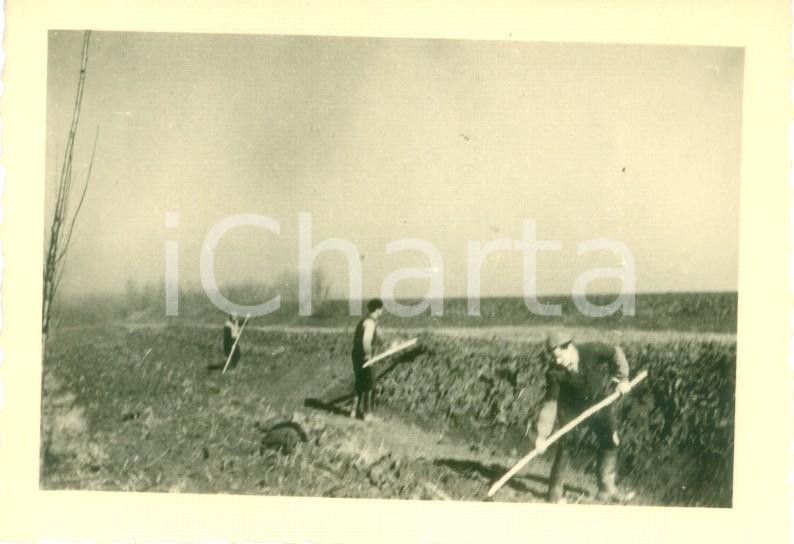 Fotografia d epoca originale 1951 ZINASCO PV Operai al lavoro sui terreni Cascina CANTALUPA Foto 10 x 7 cm 1