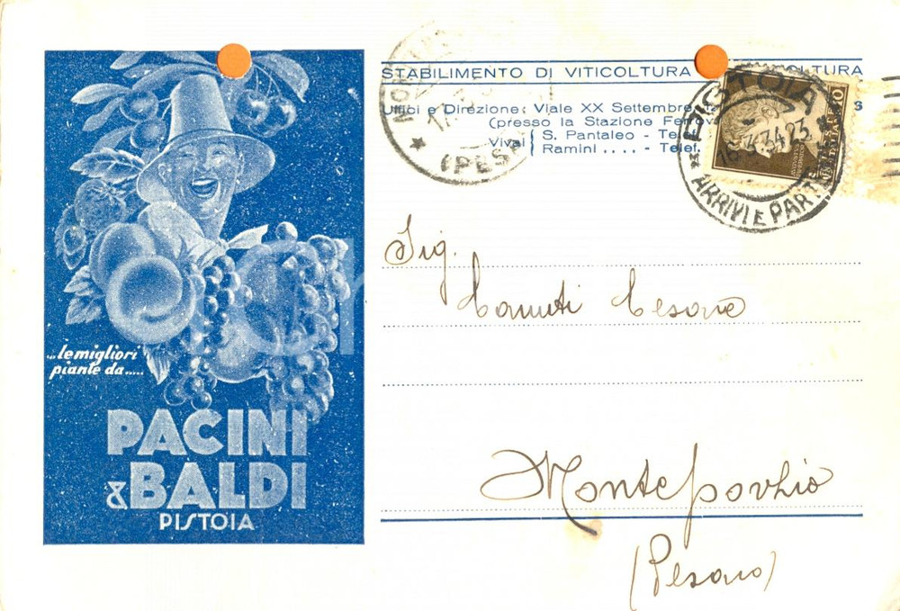 Cartolina originale da collezione 1934 PISTOIA Pacini & Baldi  Viticoltura e orticoltura Cartolina commerciale 1