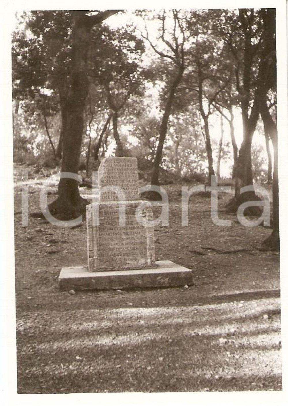 Fotografia d epoca originale 1955 ca SPOLETO Frazione MONTELUCO Cippo LEX SPOLETANA Bosco Sacro Foto 7x10 cm 1