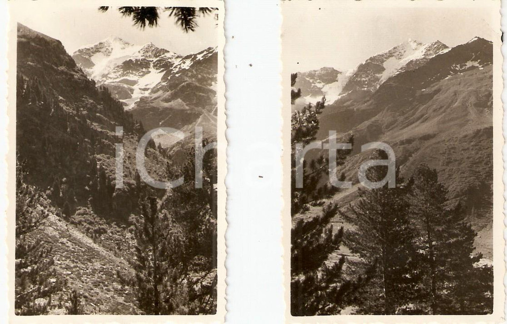 Fotografia d epoca originale 1951 SANTA CATERINA VALFURVA SO Veduta del TRESERO Lotto 2 Foto 9x6 1