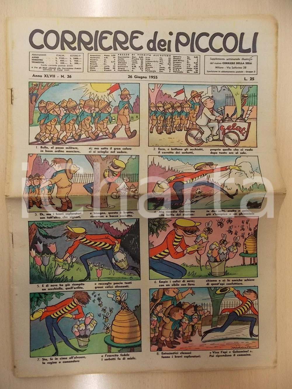Giornale, rivista storica 1955 CORRIERE DEI PICCOLI 26 Ciclismo Fiorenzo MAGNI vince GIRO D ITALIA 1