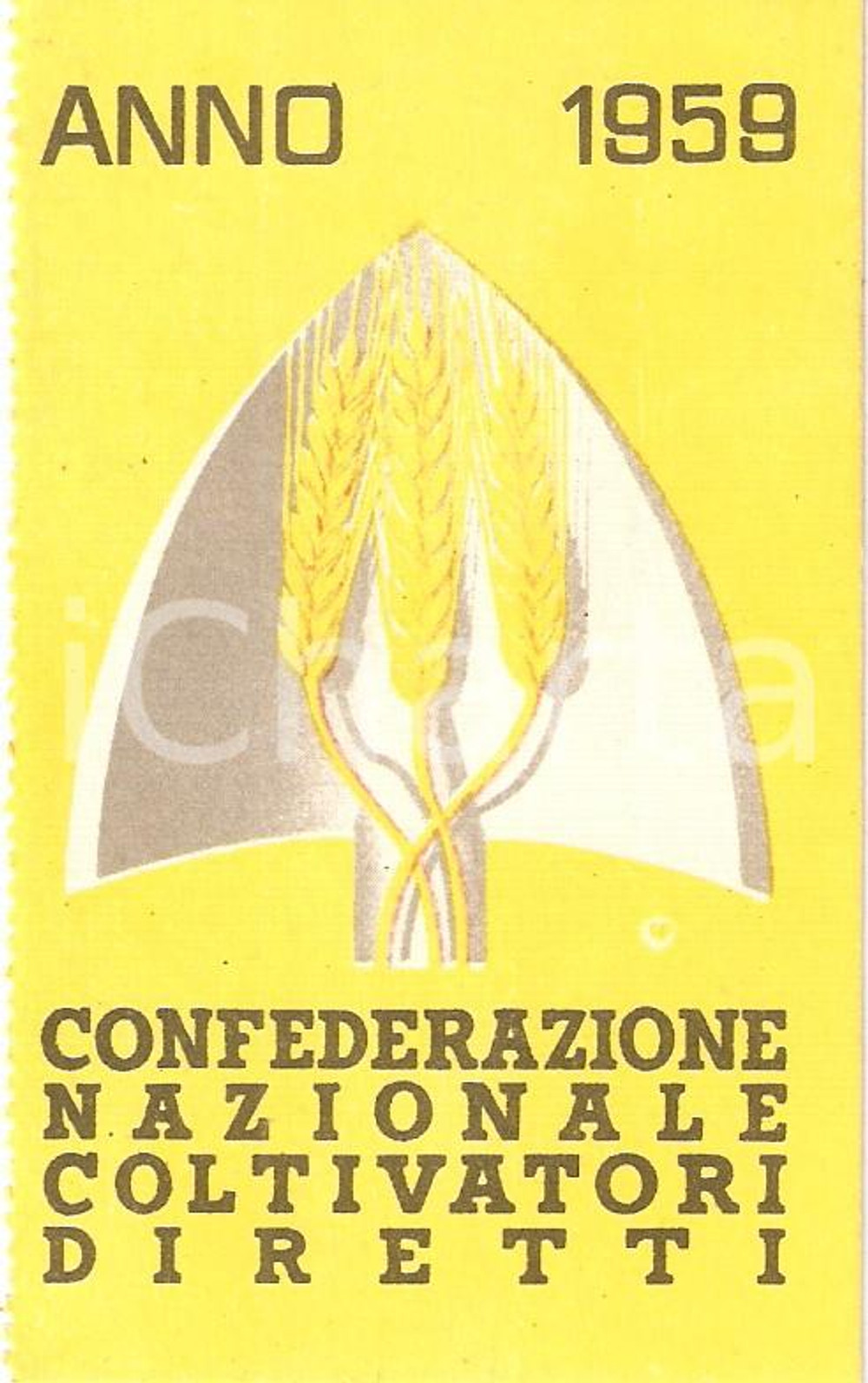 Oggetto da collezione cartaceo 1959 FOGLIZZO Confederazione Nazionale COLTIVATORI DIRETTI Tessera Capo famiglia 1