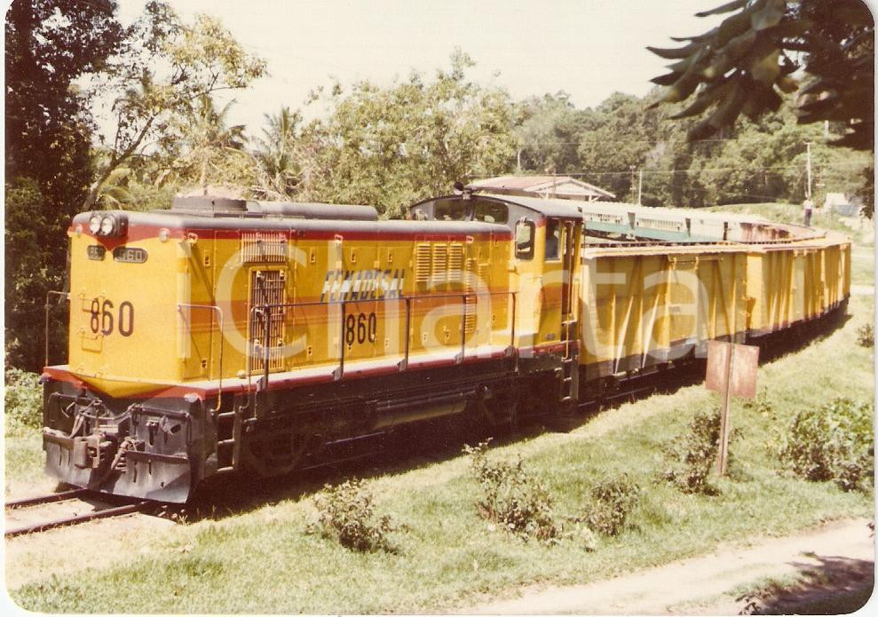Fotografia d epoca originale 1970 ca EL SALVADOR  FENADESAL Locomotiva 806 tra la vegetazione Fotografia 1