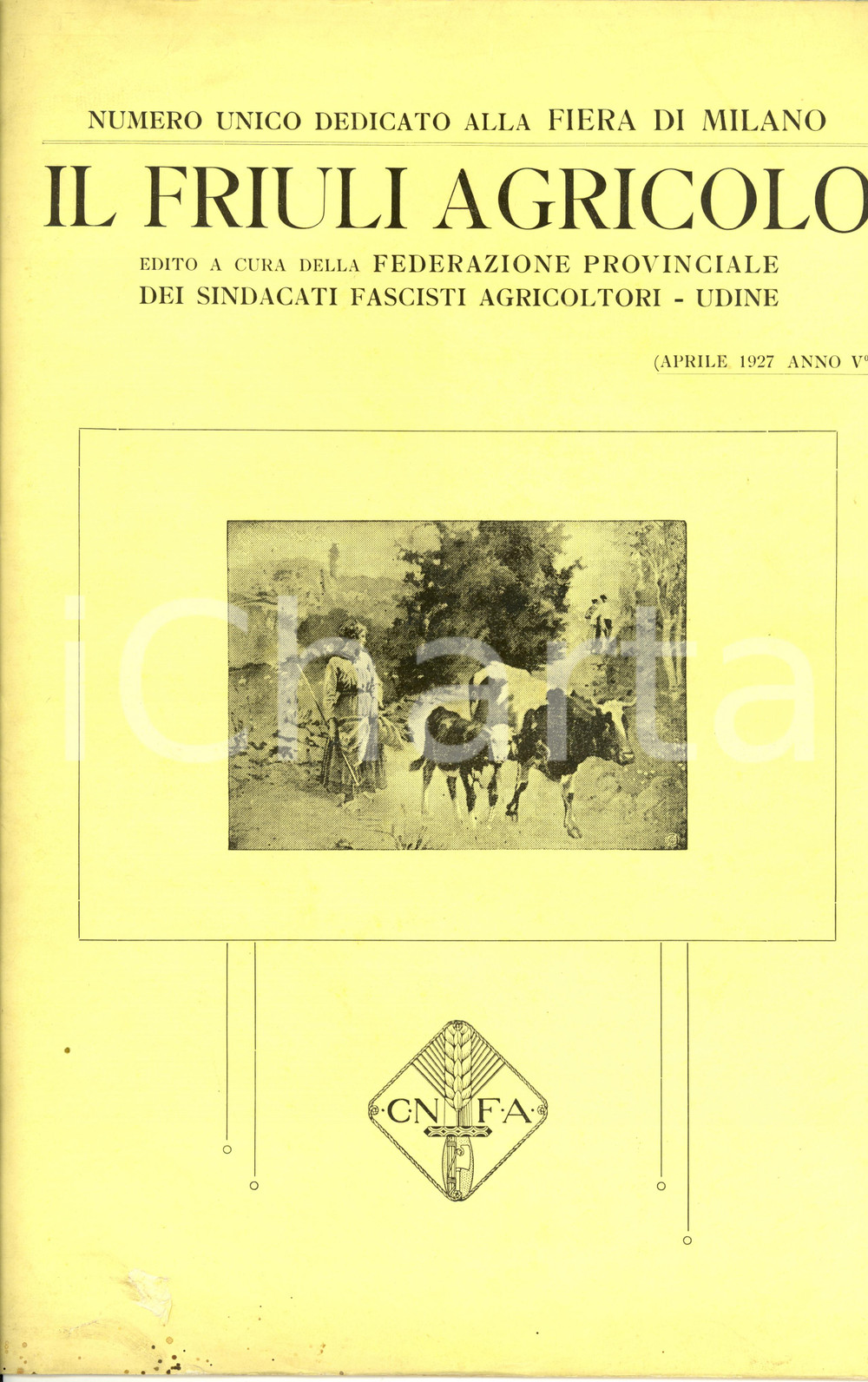 Documento originale, autentico 1927 IL FRIULI AGRICOLO Numero unico per FIERA DI MILANO Speciale ILLUSTRATO 1