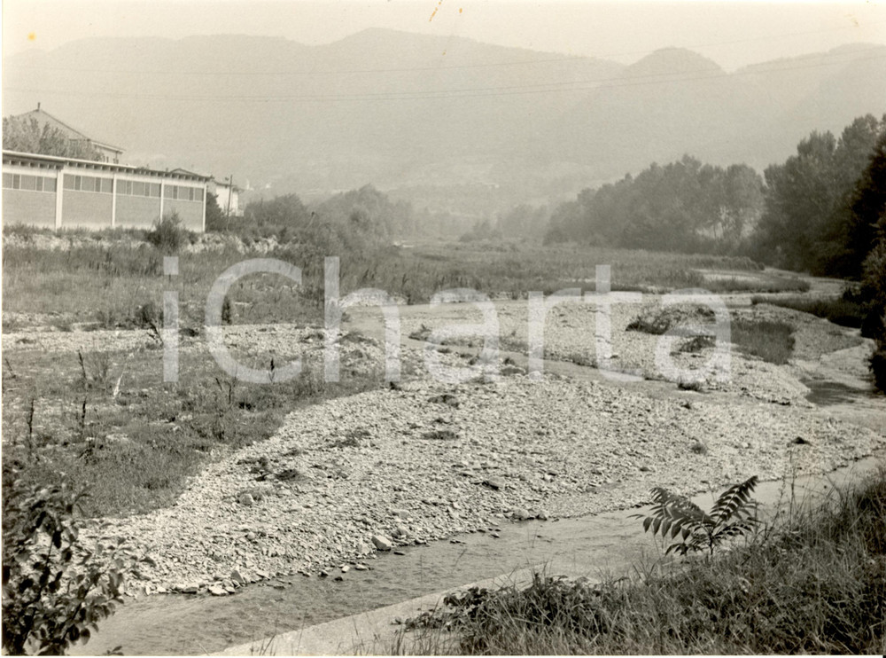 Fotografia d epoca originale 1982 BAGNARIA PV Torrente STAFFORA  Alveo in secca e sterpaglie Fotografia 1