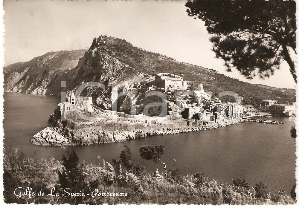 Cartolina originale da collezione 1952 PORTOVENERE Golfo di LA SPEZIA Panorama Cartolina FG VG 1