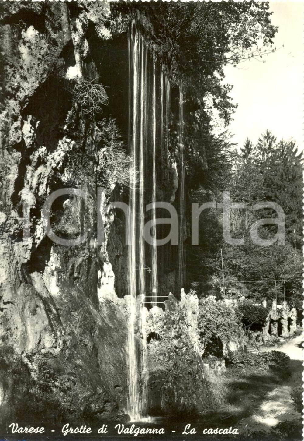 Cartolina originale da collezione 1960 ca VARESE La cascata delle Grotte di Valganna Cartolina postale FG NV 1