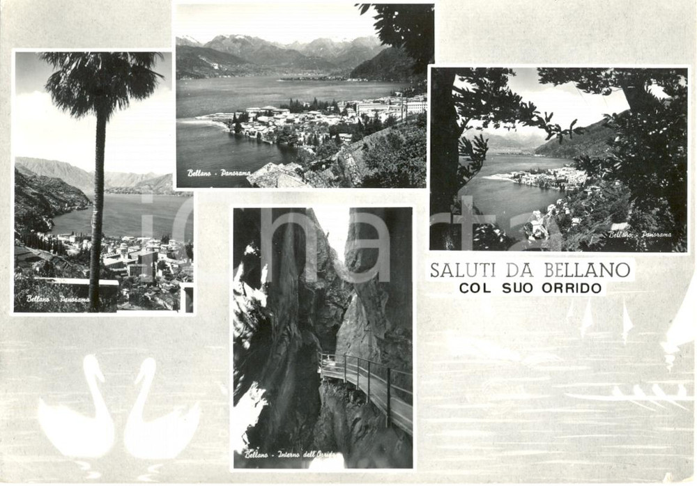 Cartolina originale da collezione 1955 ca BELLANO LC  Vedutine  Panorama  ORRIDO Cartolina postale FG NV 1