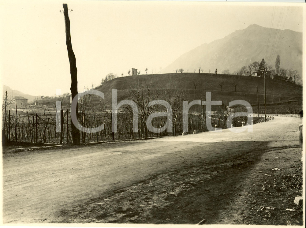 Fotografia d epoca originale 1932 BERGAMO Strada Statale nÂ°42 del TONALE e della MENDOLA tra i vitigni Foto 1