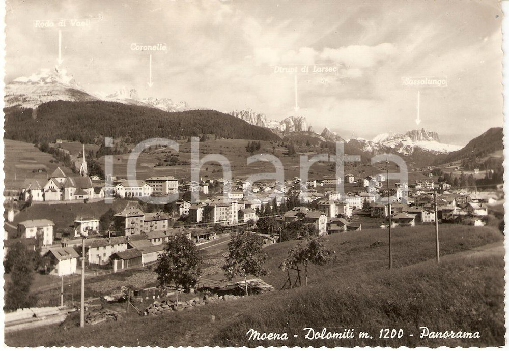 Cartolina originale da collezione 1959 MOENA TN Dolomiti RODA DI VAEL Coronelle SASSOLUNGO Dirupi di LARSEC 1