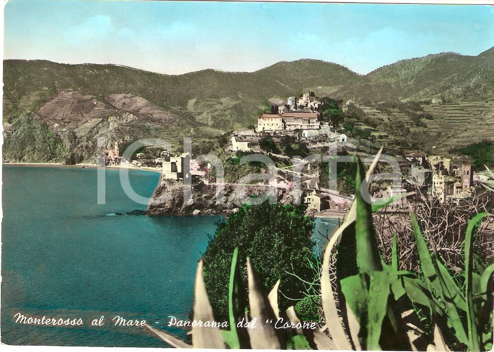 Cartolina originale da collezione 1956 MONTEROSSO AL MARE SP Vista da PUNTA CORONE Cinque Terre Cartolina FG VG 1