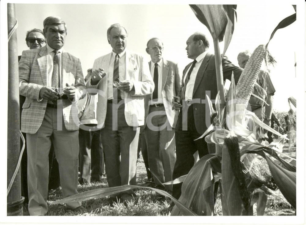Fotografia d epoca originale 1985 ca COLMAR F Festival del Mais  AutoritÃ  visitano campi coltivati Foto 1