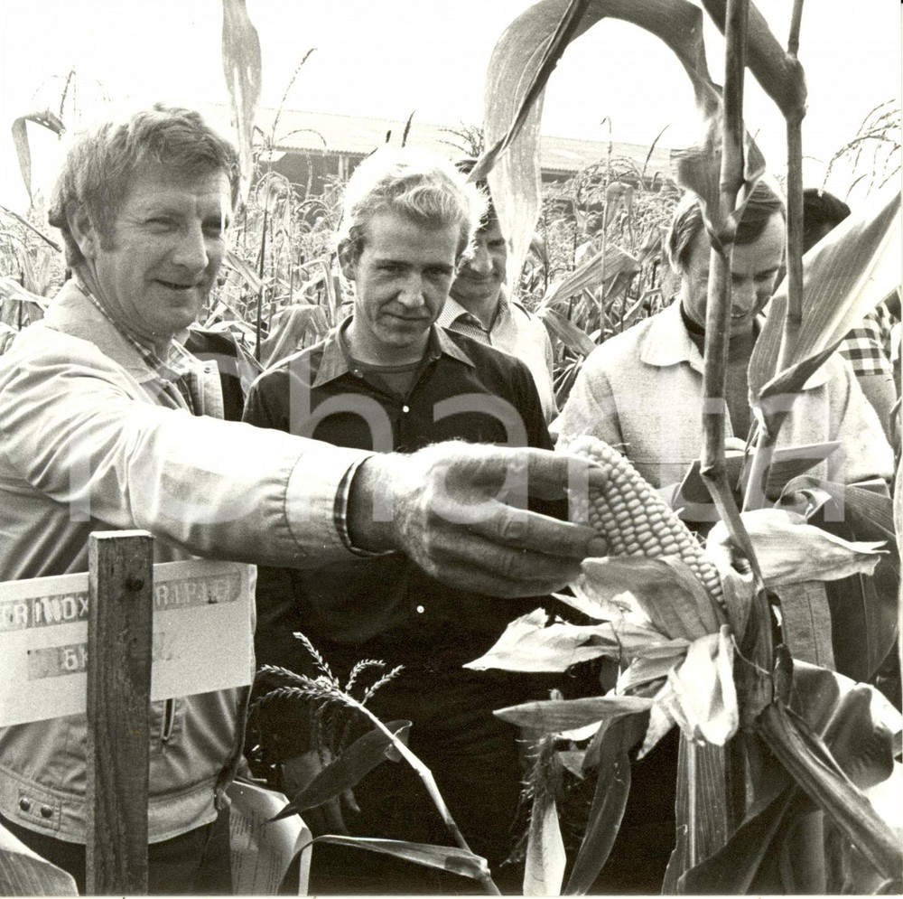Fotografia d epoca originale 1985 ca COLMAR F Festival del Mais  Pannocchie in mostra come gioielli Foto 1