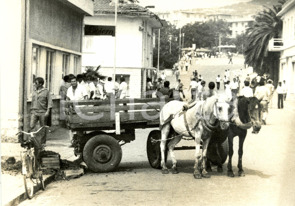 Fotografia d epoca originale 1980 ca L AVANA Cuba Carretto tradizionale con due cavalli sosta lungo strada 1