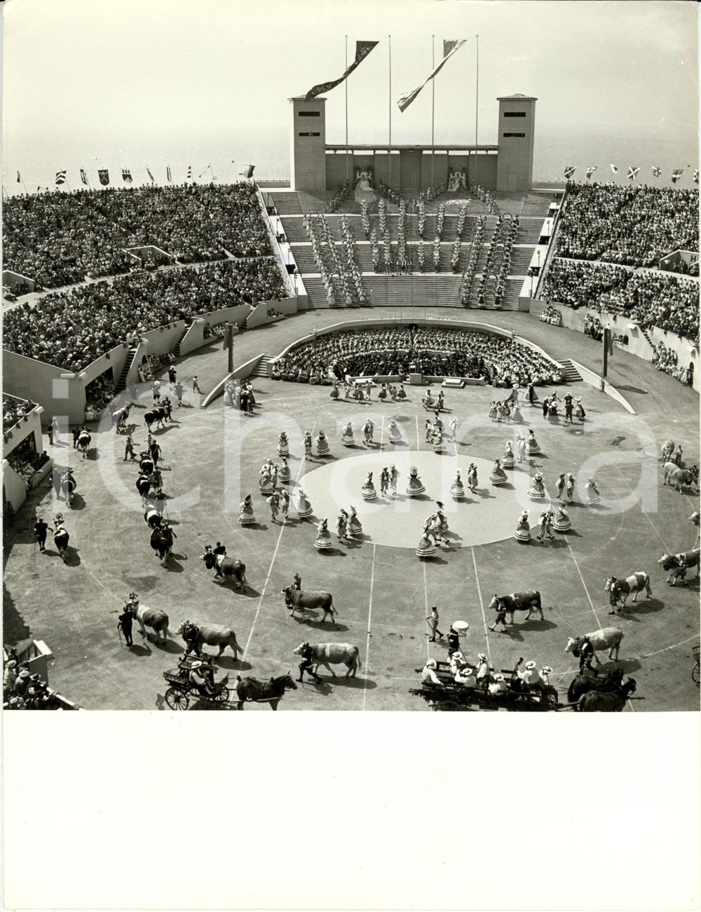 Fotografia d epoca originale 1955 VEVEY CH Fete des VIGNERONS  Danze popolari e sfilata bovini Fotografia 1