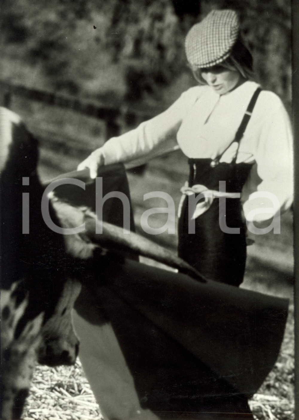 Fotografia d epoca originale 1984 USA Cinema Bo DEREK affronta un toro in arena  Film BOLERO Foto di scena 1