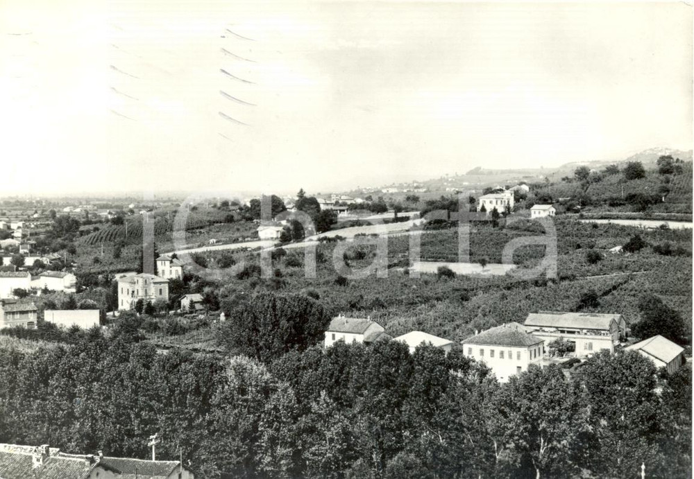Cartolina originale da collezione 1966 CASTEGGIO PV Panorama dei VIGNETI dell OLTREPO  Cartolina postale FG VG 1