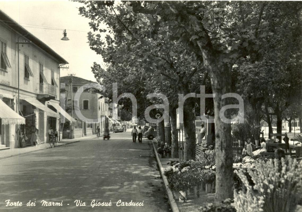 1960 FORTE DEI MARMI (PI) Veduta di via Giosuè Carducci *Cartolina animata FG VG