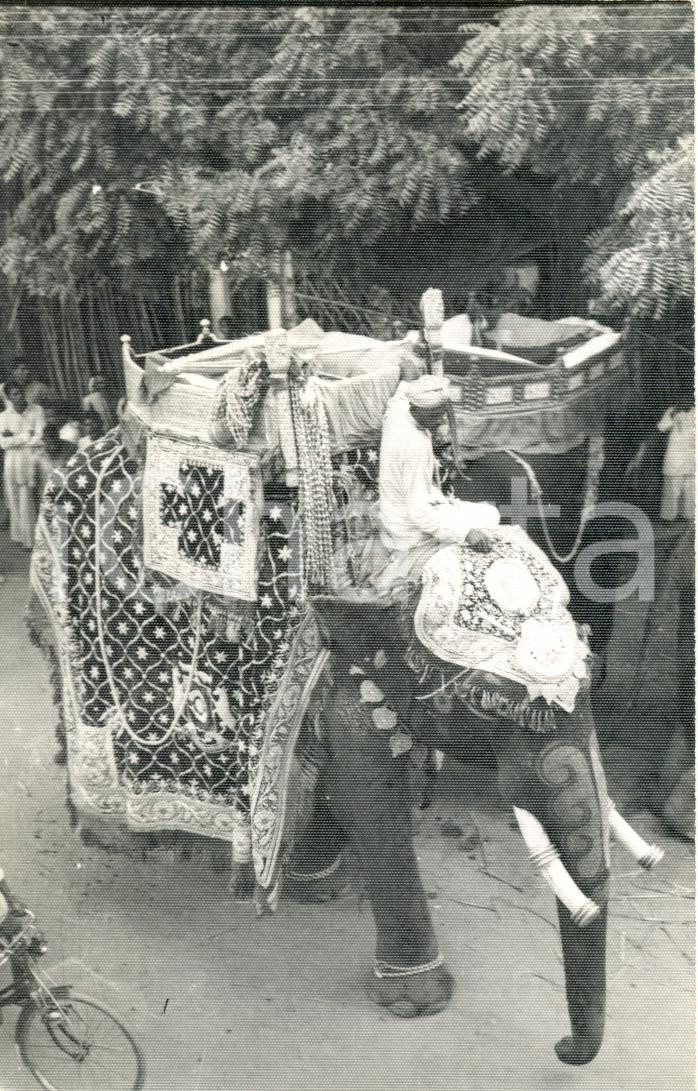 Cartolina originale da collezione 1960 BANARAS INDIA The elephant  TRASPORTO Cartolina ANIMATA FP VG 1