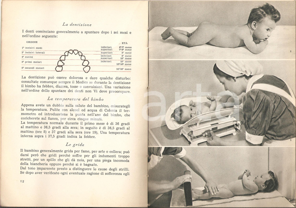 Libro, pubblicazione d epoca 1958 NESTLE  Per l allevamento del bambino PELARGON ELEGON Pubblicazione 1