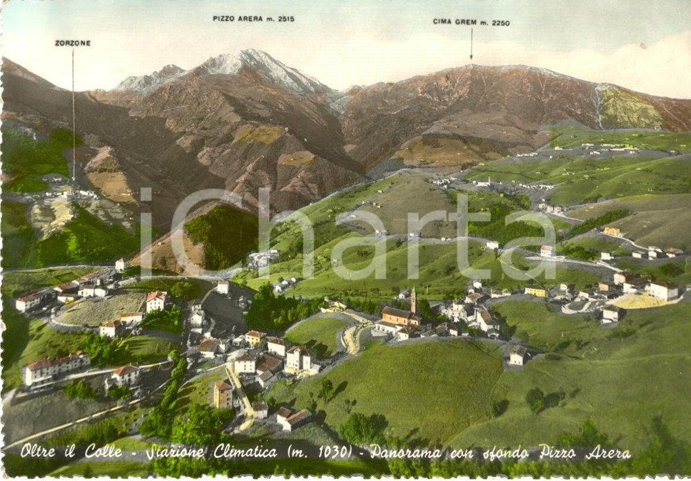 Cartolina originale da collezione 1960 ca OLTRE IL COLLE BG Panorama con M.Pizzo Arera Cartolina postale FG NV 1