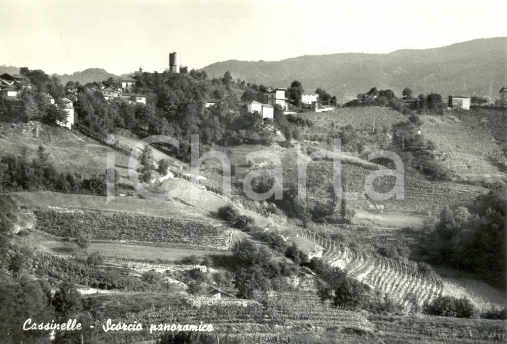 Cartolina originale da collezione 1965 CASSINELLE AL Scorcio panoramico Cartolina postale FG VG 1