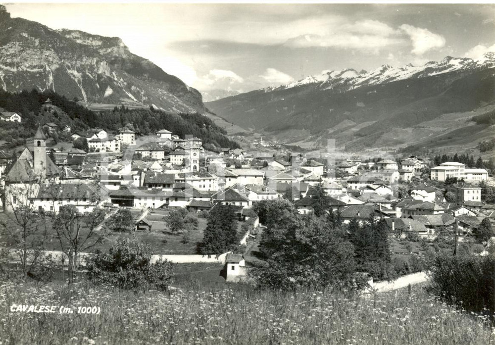 Cartolina originale da collezione 1960 CAVALESE TN Veduta panoramica generale Cartolina postale FG VG 1